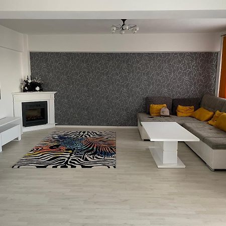 Panoramic M&M Apartment Suceava Exterior photo